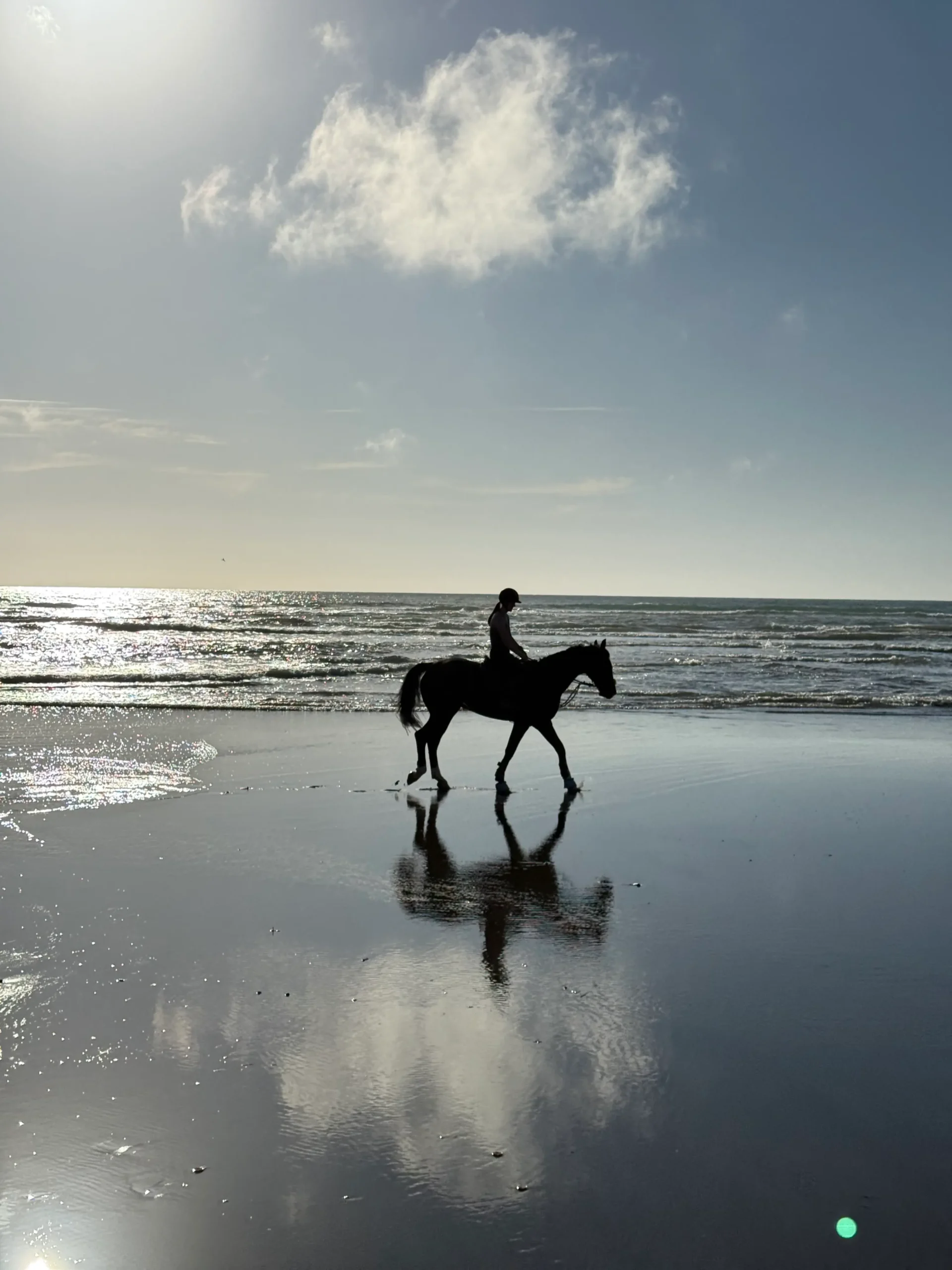 Horse and rider silhouetted on the beach