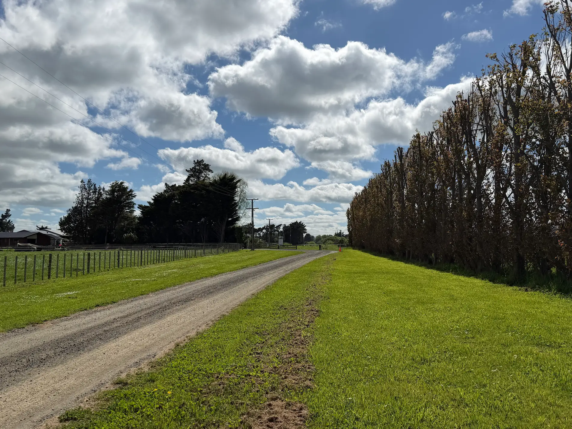 Farm driveway, paddocks and trees
