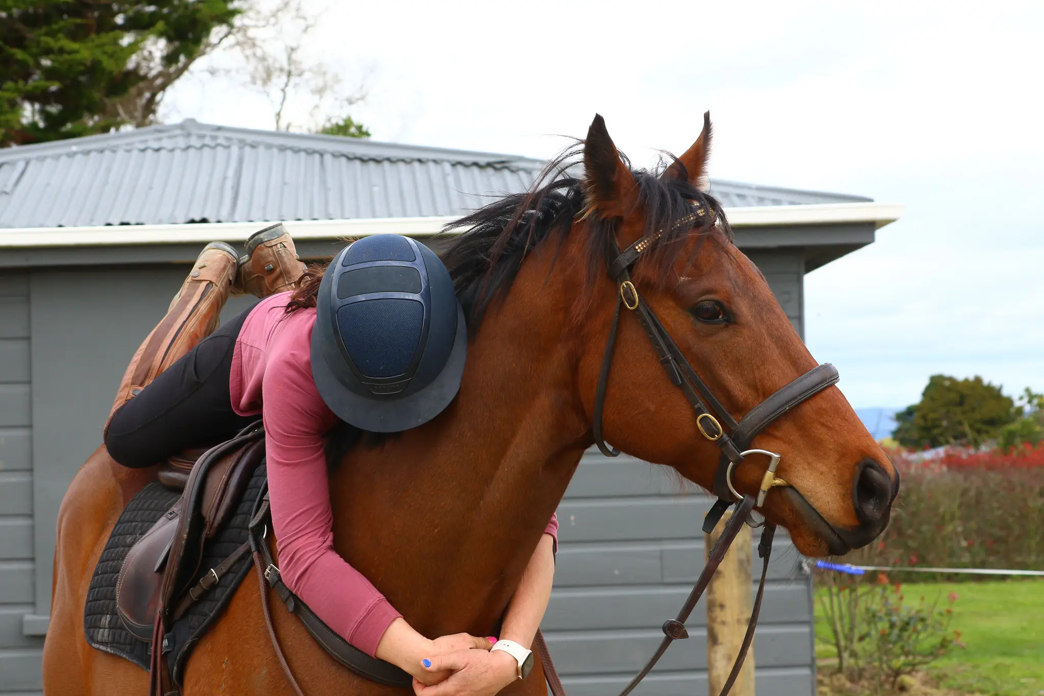 Rider leaning over a chestnut horse
