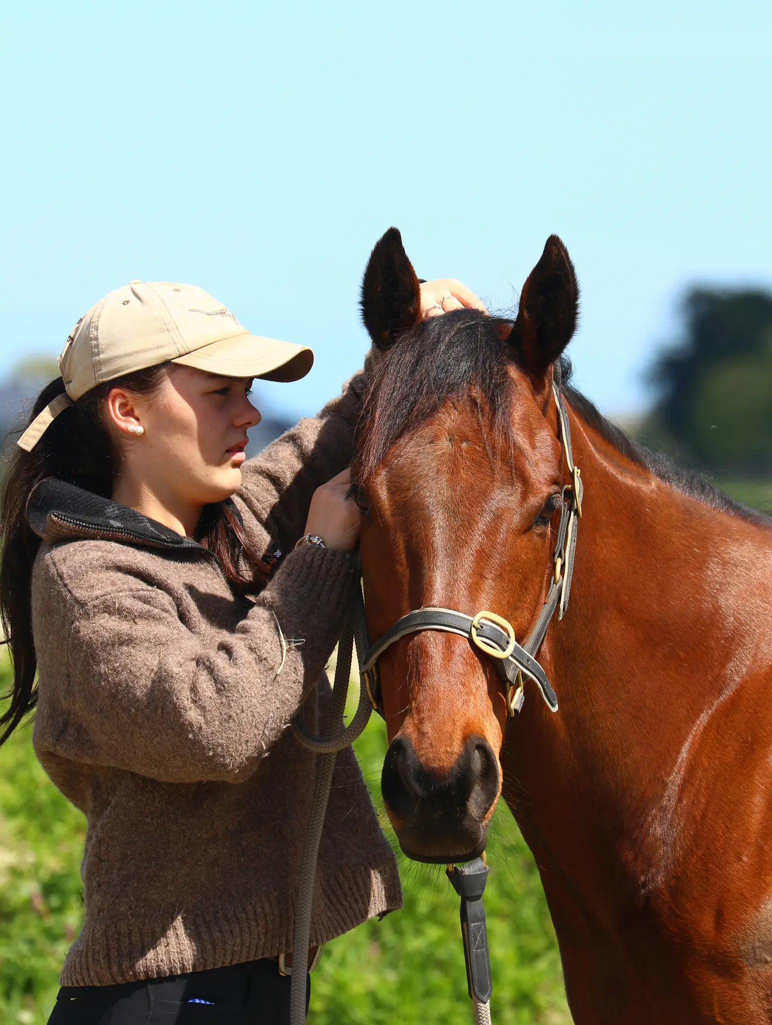 Woman standing beside a chestnut horse