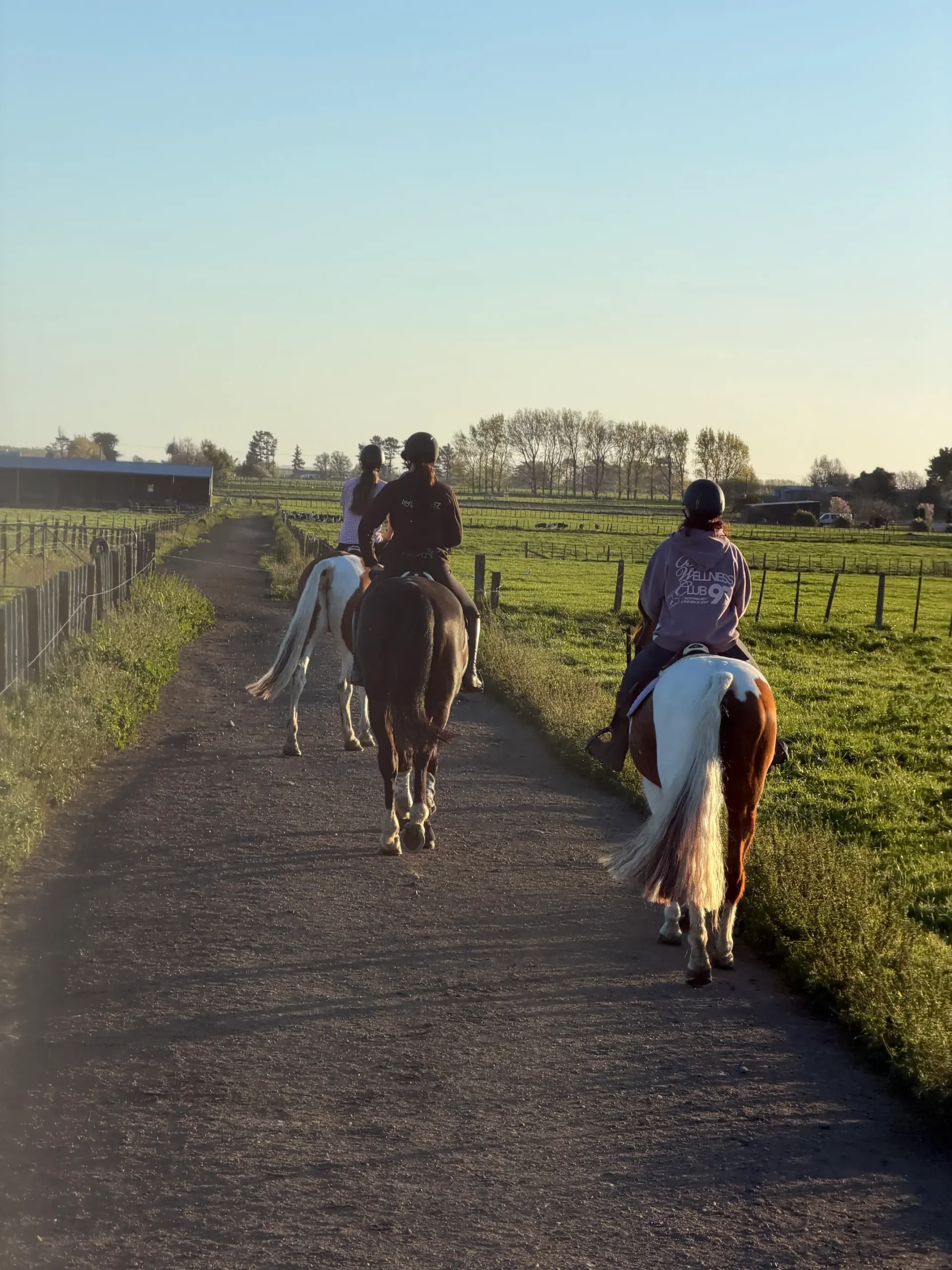 Three riders heading down the farm track in evening light