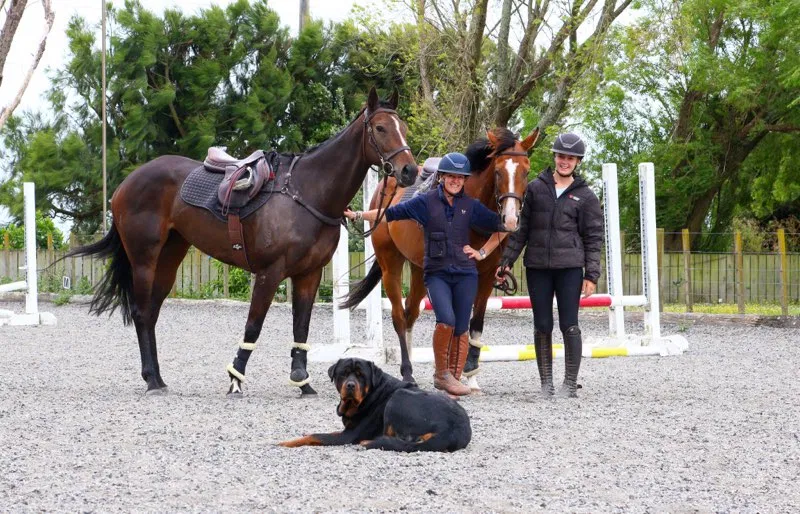 Dana Sutton in the arena with Zara and two of their horses, with the farm dog lying in front